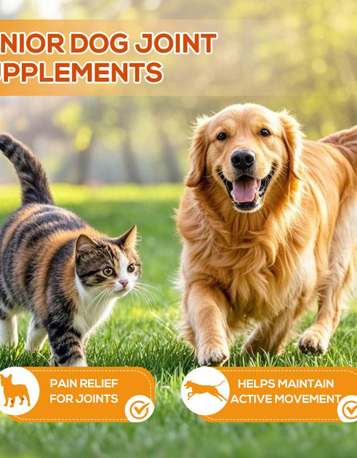 Load image into Gallery viewer, PetriTailor Turmeric Curcumin Dog Supplement Hip &amp; Joint Support 60 Tablets
