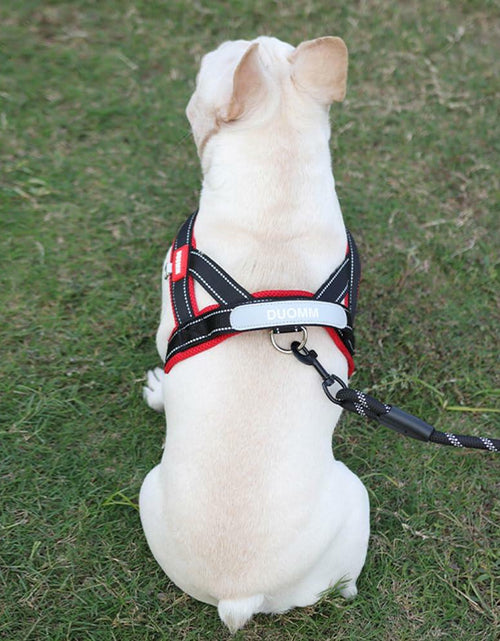 Load image into Gallery viewer, Kumihigh Yellow Dog No Pull Padded Escape Proof Harness XL Vibrant Color
