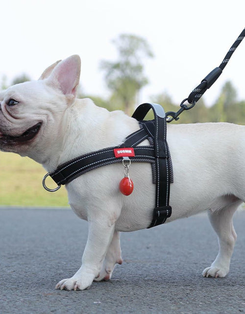 Load image into Gallery viewer, Kumihigh Yellow Dog No Pull Padded Escape Proof Harness XL Vibrant Color
