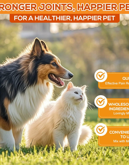 Load image into Gallery viewer, PetriTailor Turmeric Curcumin Dog Supplement Hip &amp; Joint Support 60 Tablets
