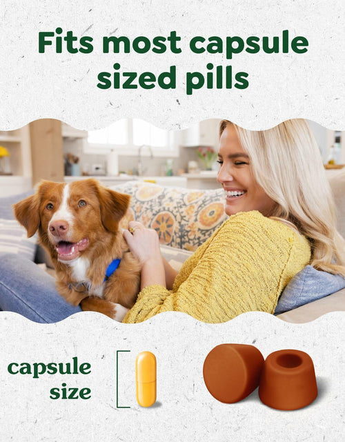 Load image into Gallery viewer, BestBy02/29 Greenies Pill Pockets Large Dog Treats Cheese Flavor 7.9oz
