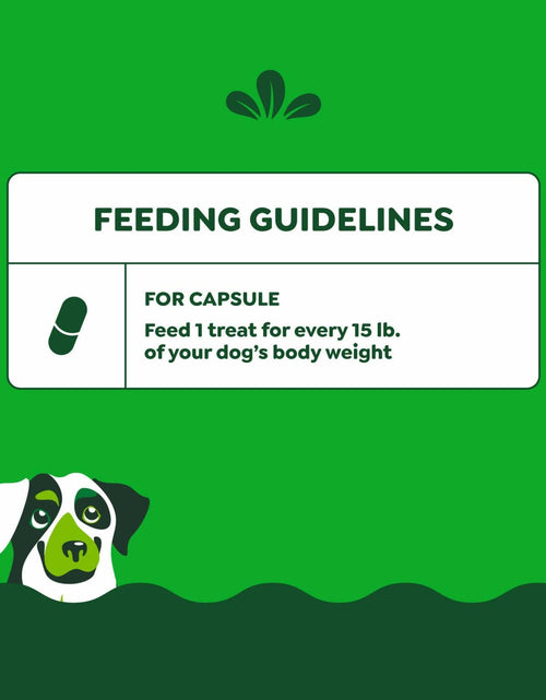 Load image into Gallery viewer, BestBy02/29 Greenies Pill Pockets Large Dog Treats Cheese Flavor 7.9oz
