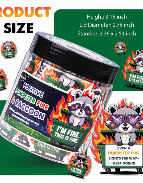 Load image into Gallery viewer, SOLMAY Funny Raccoon Dumpster Fire Affirmation Jar, 60 Sarcastic Notes
