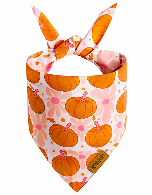 Load image into Gallery viewer, THLOH Fall Dog Bandanas 2 Pack Reversible Pumpkin Leaf Orange Large
