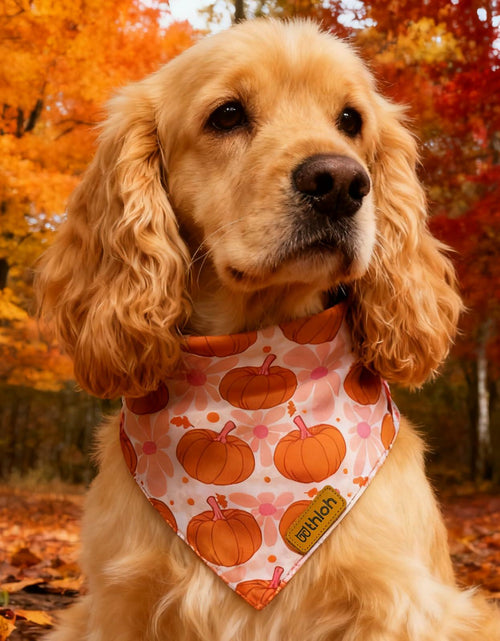 Load image into Gallery viewer, THLOH Fall Dog Bandanas 2 Pack Reversible Pumpkin Leaf Orange Large
