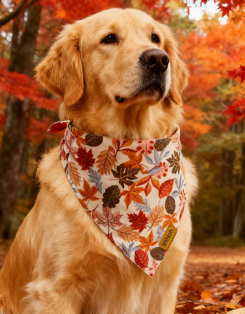 Load image into Gallery viewer, THLOH Fall Dog Bandanas 2 Pack Reversible Pumpkin Leaf Orange Large
