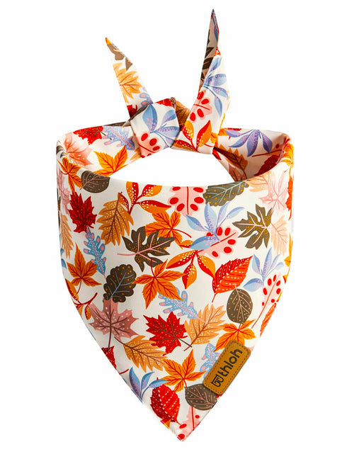 Load image into Gallery viewer, THLOH Fall Dog Bandanas 2 Pack Reversible Pumpkin Leaf Orange Large
