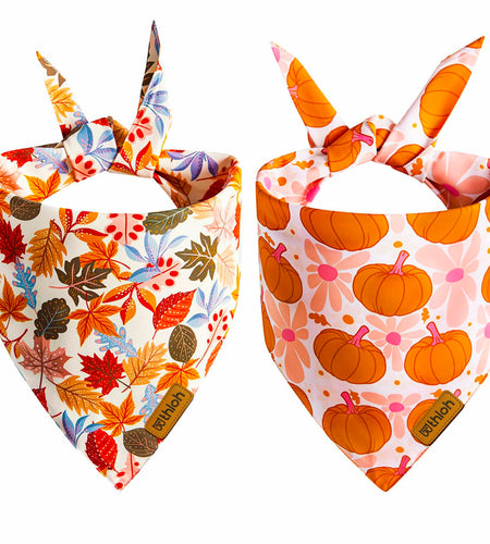 THLOH Fall Dog Bandanas 2 Pack Reversible Pumpkin Leaf Orange Large