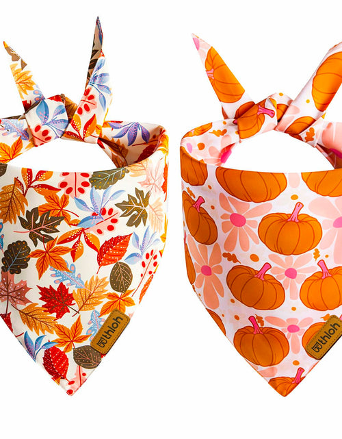Load image into Gallery viewer, THLOH Fall Dog Bandanas 2 Pack Reversible Pumpkin Leaf Orange Large
