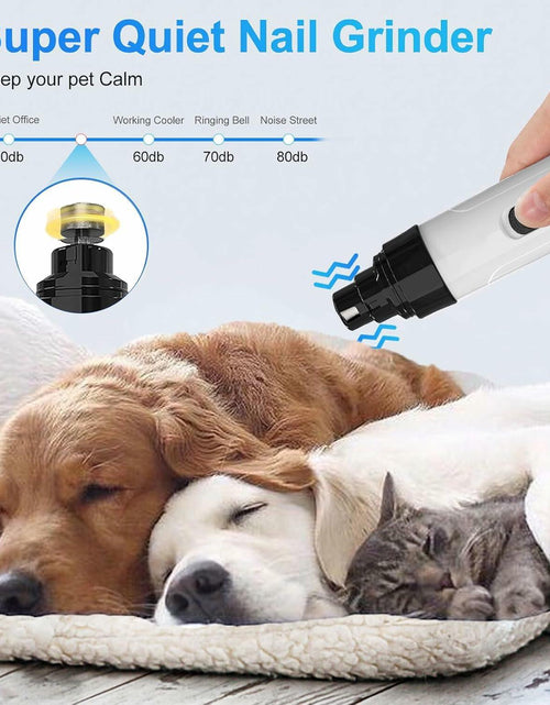 Load image into Gallery viewer, Generic Nail Grinder for Dogs Rechargeable USB LED Light 3 Speeds 1+2 Heads

