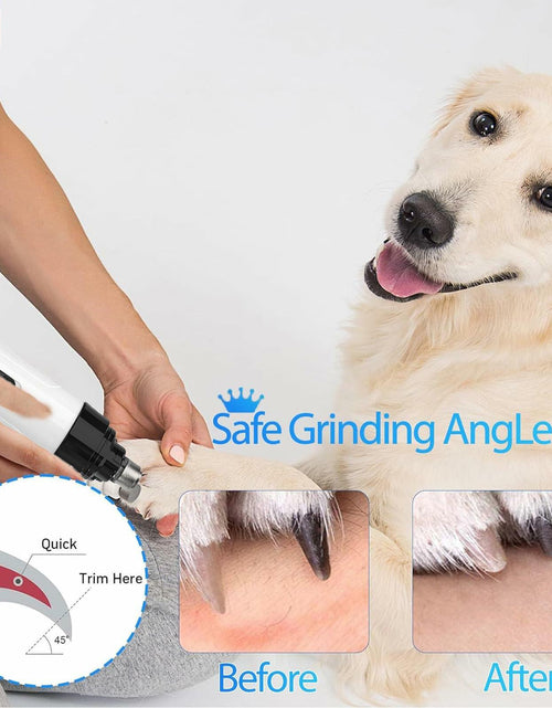 Load image into Gallery viewer, Generic Nail Grinder for Dogs Rechargeable USB LED Light 3 Speeds 1+2 Heads
