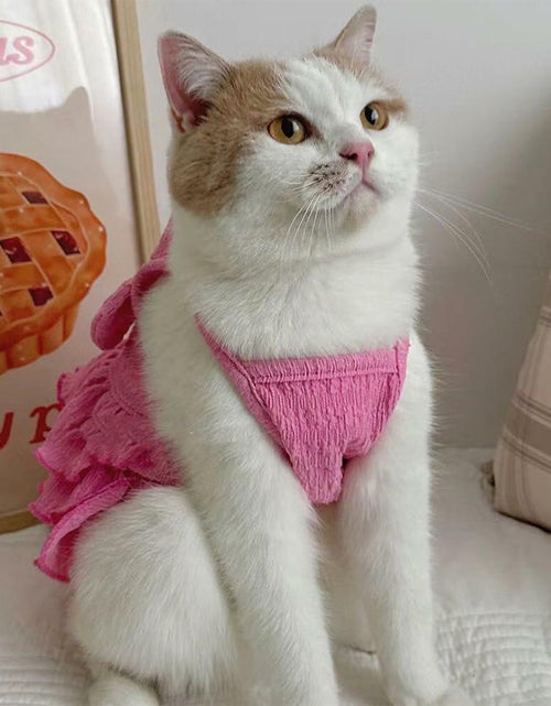 Load image into Gallery viewer, Wiz BBQT Cat Pink Tiered Ruffle Dress Bow Small Dog Clothes Size L
