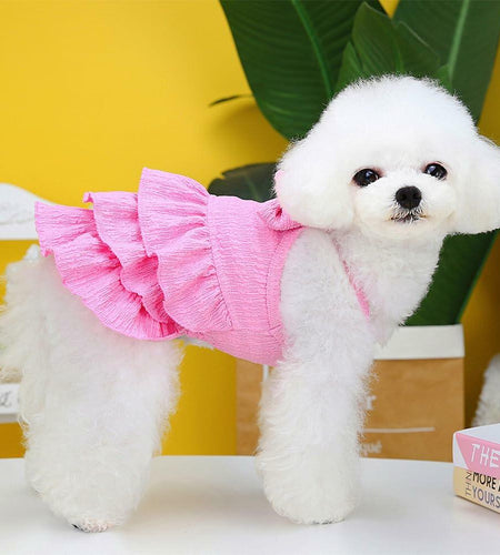 Wiz BBQT Cat Pink Tiered Ruffle Dress Bow Small Dog Clothes Size L
