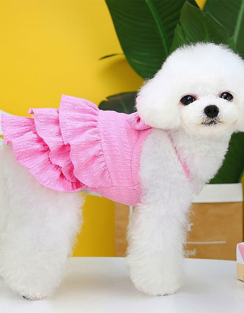 Load image into Gallery viewer, Wiz BBQT Cat Pink Tiered Ruffle Dress Bow Small Dog Clothes Size L
