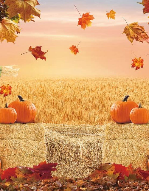 Load image into Gallery viewer, XCKALI Autumn Photography Background Thanksgiving Pumpkin Maple Leaf 7x5ft
