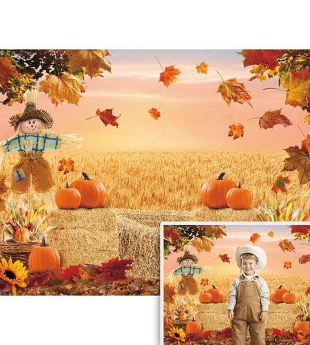 XCKALI Autumn Photography Background Thanksgiving Pumpkin Maple Leaf 7x5ft