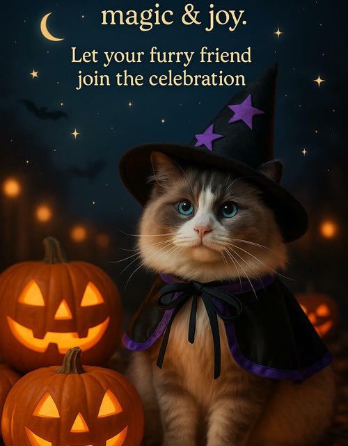Load image into Gallery viewer, Pextian Halloween Cat Witch Costume Adjustable Black Purple Cloak Hat Size M/L
