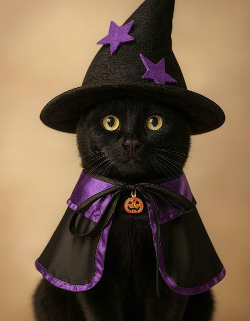 Load image into Gallery viewer, Pextian Halloween Cat Witch Costume Adjustable Black Purple Cloak Hat Size M/L
