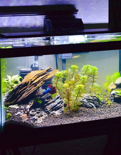 Load image into Gallery viewer, Generic Aquarium Non-Slip Shockproof Foam Leveling Mat 15.72x11.79in
