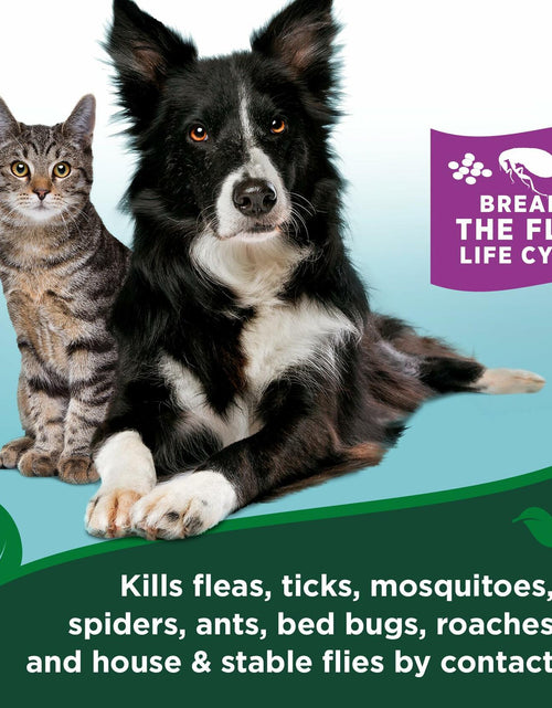 Load image into Gallery viewer, Vet's Best Flea &amp; Tick Home Spray for Cats 32 oz Cotton Spice Scent
