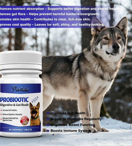 PetriTailor Probiotics Supplement for Dogs Digestive Enzymes Prebiotics