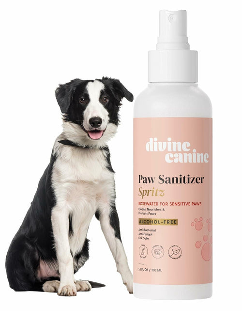 Load image into Gallery viewer, Dog Paw Cleaner Spray 5.1oz Alcohol Free Coconut Aloe Copaiba Lemongrass USA
