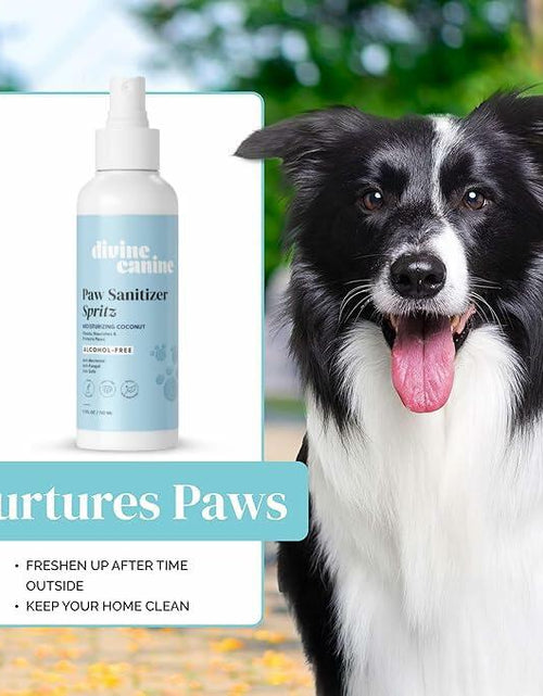 Load image into Gallery viewer, Dog Paw Cleaner Spray 5.1oz Alcohol Free Coconut Aloe Copaiba Lemongrass USA
