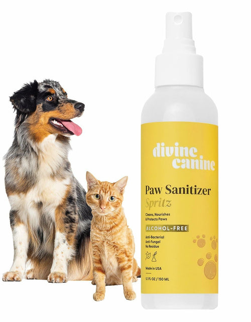 Load image into Gallery viewer, Dog Paw Cleaner Spray 5.1oz Alcohol Free Coconut Aloe Copaiba Lemongrass USA
