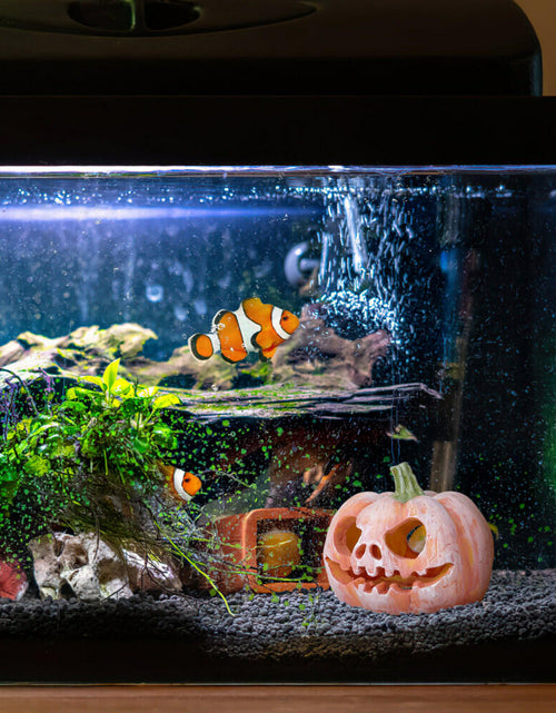 Load image into Gallery viewer, Pumpkin Shaped Fish Hideout House Tank Decor Aquarium Fish Tank Decoration
