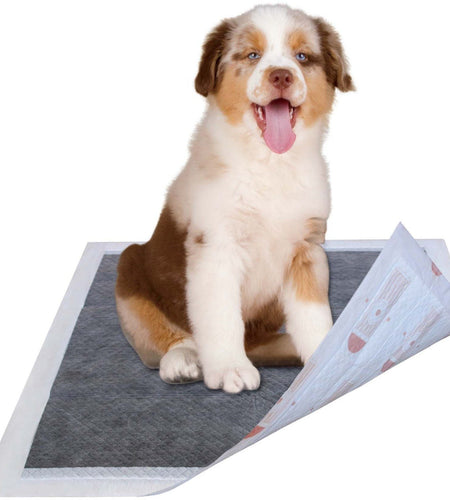 Pet Life ® 55 Grams Ultra Absorbent Charcoal Odor Eliminating Premium Dog Training Pads