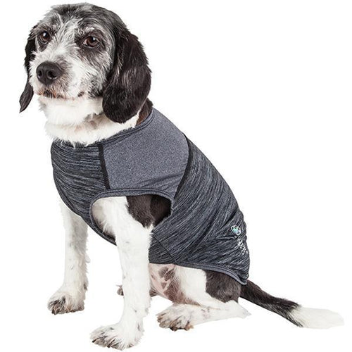 Load image into Gallery viewer, Pet Life ® Active 'Aero-Pawlse' Quick-Dry and 4-Way-Stretch Yoga Fitness Dog T-Shirt Tank Top
