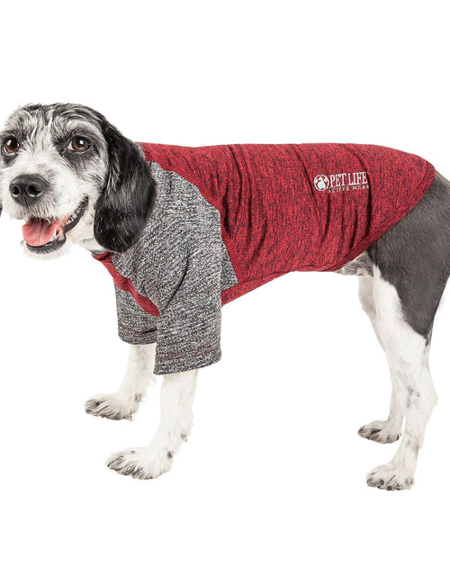 Load image into Gallery viewer, Pet Life ® Active 'Hybreed' 4-Way-Stretch Fitness Performance Dog T-Shirt
