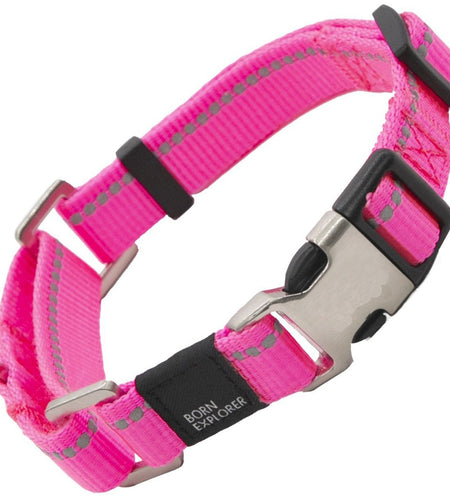 Pet Life ® 'Advent' Outdoor Series 3M Reflective 2-in-1 Durable Martingale Training Dog Leash and Collar