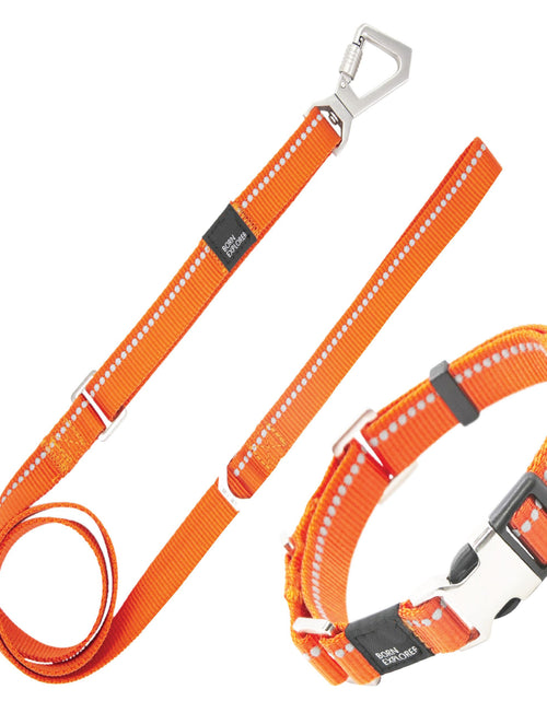 Load image into Gallery viewer, Pet Life ® 'Advent' Outdoor Series 3M Reflective 2-in-1 Durable Martingale Training Dog Leash and Collar

