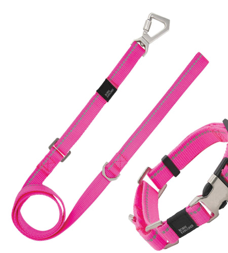Pet Life ® 'Advent' Outdoor Series 3M Reflective 2-in-1 Durable Martingale Training Dog Leash and Collar