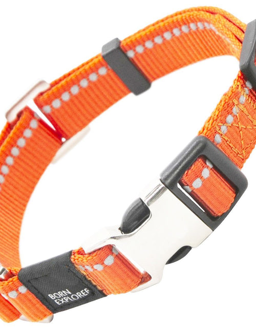 Load image into Gallery viewer, Pet Life ® 'Advent' Outdoor Series 3M Reflective 2-in-1 Durable Martingale Training Dog Leash and Collar

