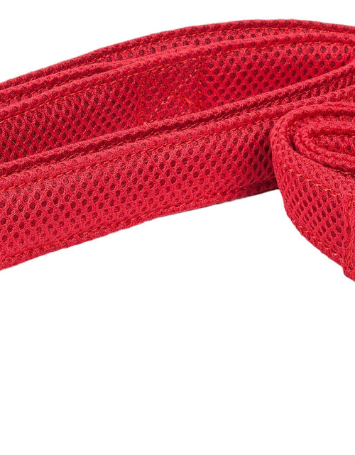 Load image into Gallery viewer, Pet Life ® 'Aero Mesh' 2-In-1 Breathable and Adjustable Dual-Sided Mesh Dog Leash and Collar
