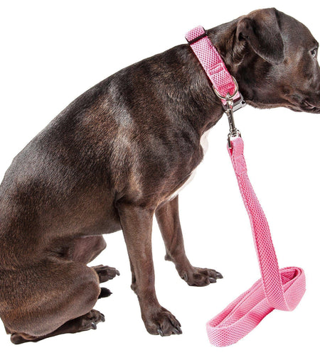Pet Life ® 'Aero Mesh' 2-In-1 Breathable and Adjustable Dual-Sided Mesh Dog Leash and Collar