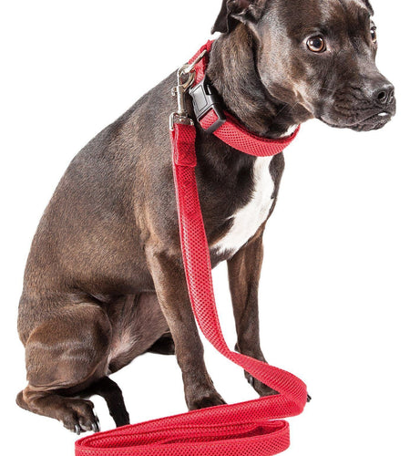 Pet Life ® 'Aero Mesh' 2-In-1 Breathable and Adjustable Dual-Sided Mesh Dog Leash and Collar