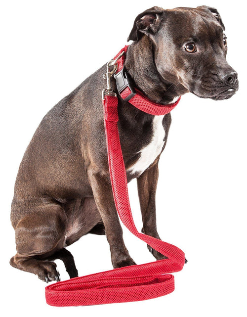 Load image into Gallery viewer, Pet Life ® 'Aero Mesh' 2-In-1 Breathable and Adjustable Dual-Sided Mesh Dog Leash and Collar
