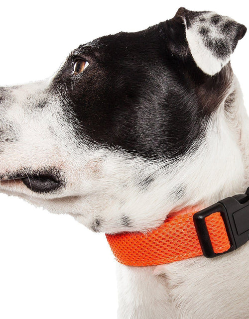 Load image into Gallery viewer, Pet Life ®  'Aero Mesh' Dual-Sided Breathable and Adjustable Thick Mesh Dog Collar
