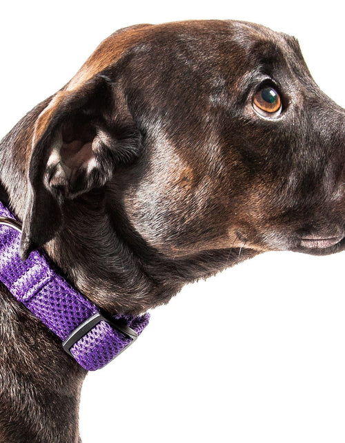 Load image into Gallery viewer, Pet Life ®  'Aero Mesh' Dual-Sided Breathable and Adjustable Thick Mesh Dog Collar
