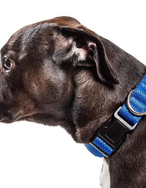 Load image into Gallery viewer, Pet Life ®  'Aero Mesh' Dual-Sided Breathable and Adjustable Thick Mesh Dog Collar
