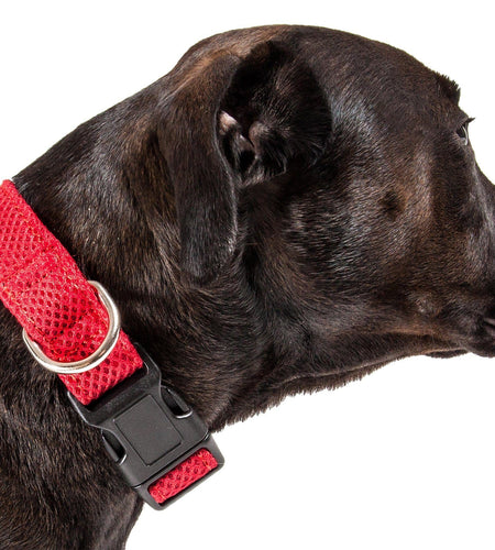 Pet Life ®  'Aero Mesh' Dual-Sided Breathable and Adjustable Thick Mesh Dog Collar