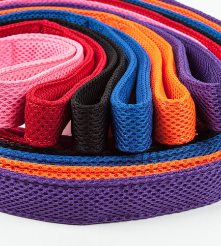 Pet Life ®  'Aero Mesh' Breathable and Adjustable Dual Sided Thick Mesh Dog Leash