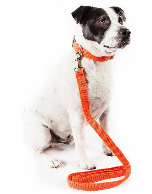 Load image into Gallery viewer, Pet Life ®  'Aero Mesh' Breathable and Adjustable Dual Sided Thick Mesh Dog Leash
