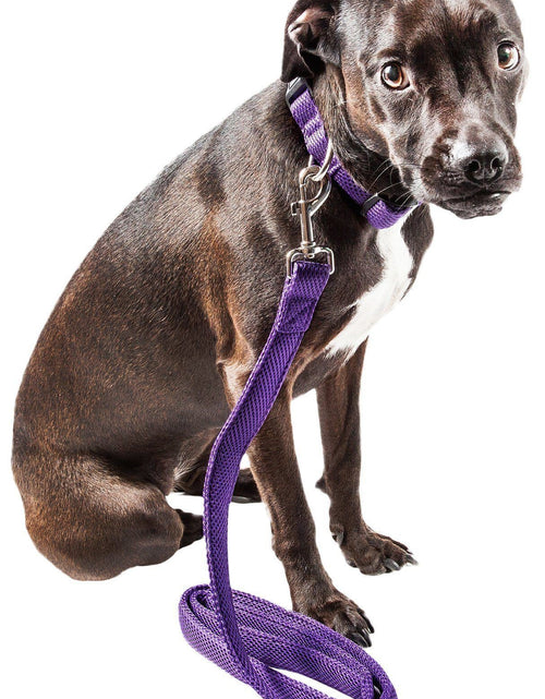 Load image into Gallery viewer, Pet Life ®  'Aero Mesh' Breathable and Adjustable Dual Sided Thick Mesh Dog Leash
