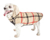 White And Red Plaid