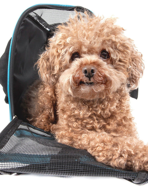 Load image into Gallery viewer, Pet Life ® 'Altitude Force' Airline Approved Sporty Zippered Folding Fashion Pet Dog Carrier
