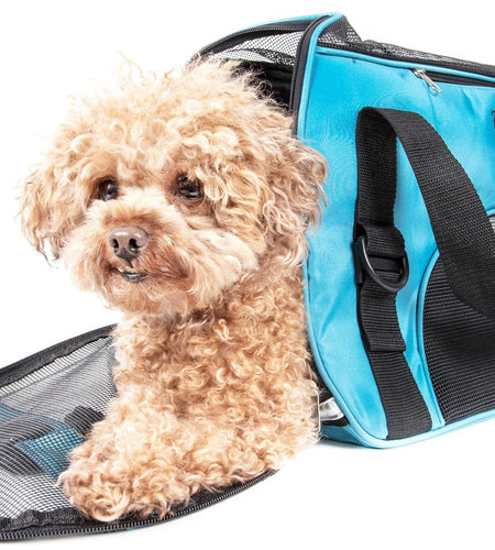 Pet Life ® 'Altitude Force' Airline Approved Sporty Zippered Folding Fashion Pet Dog Carrier